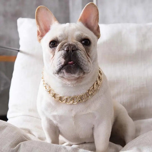 Gold or Silver Chain Dog Necklace | Pet Chain Collar M