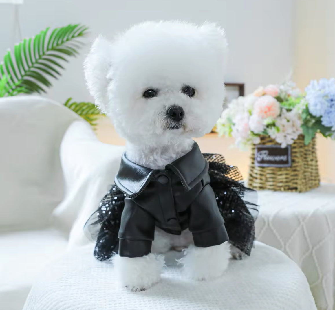 Rockstar Dog Dress – Leather-Style Event Wear | Blingdazzel