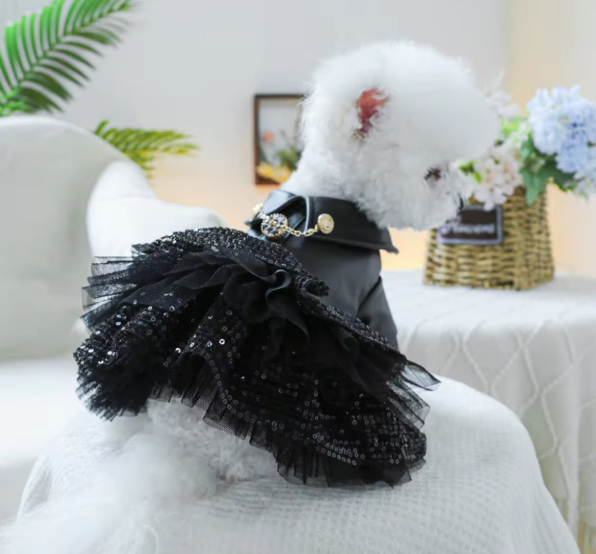 Rockstar Dog Dress – Leather-Style Event Wear | Blingdazzel L