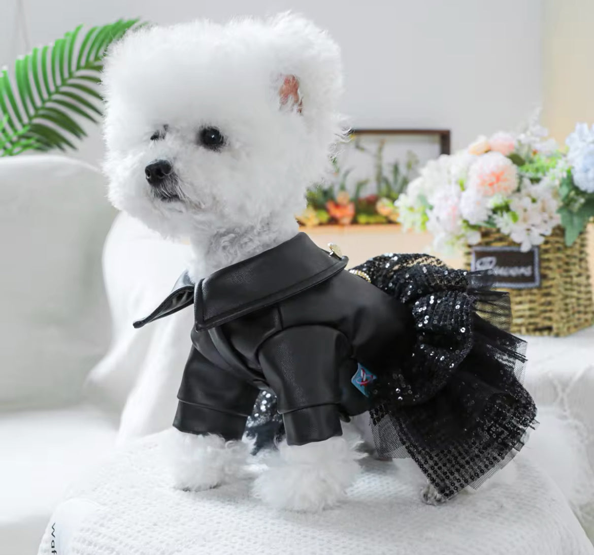Rockstar Dog Dress – Leather-Style Event Wear | Blingdazzel
