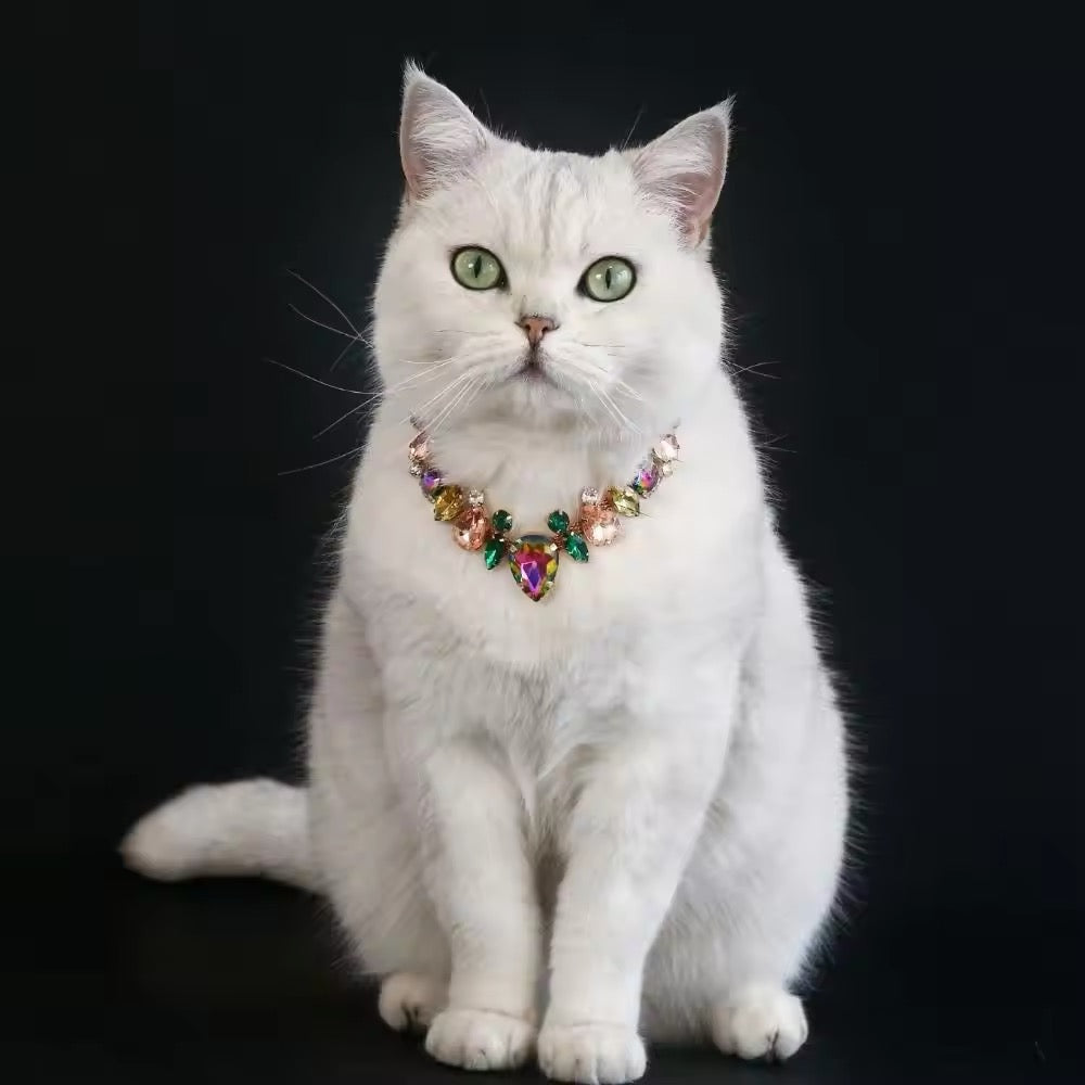 Rhinestone pet necklace with multicolor heart-shaped centerpiece on a white cat