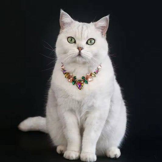 Rhinestone pet necklace with multicolor heart-shaped centerpiece on a white cat
