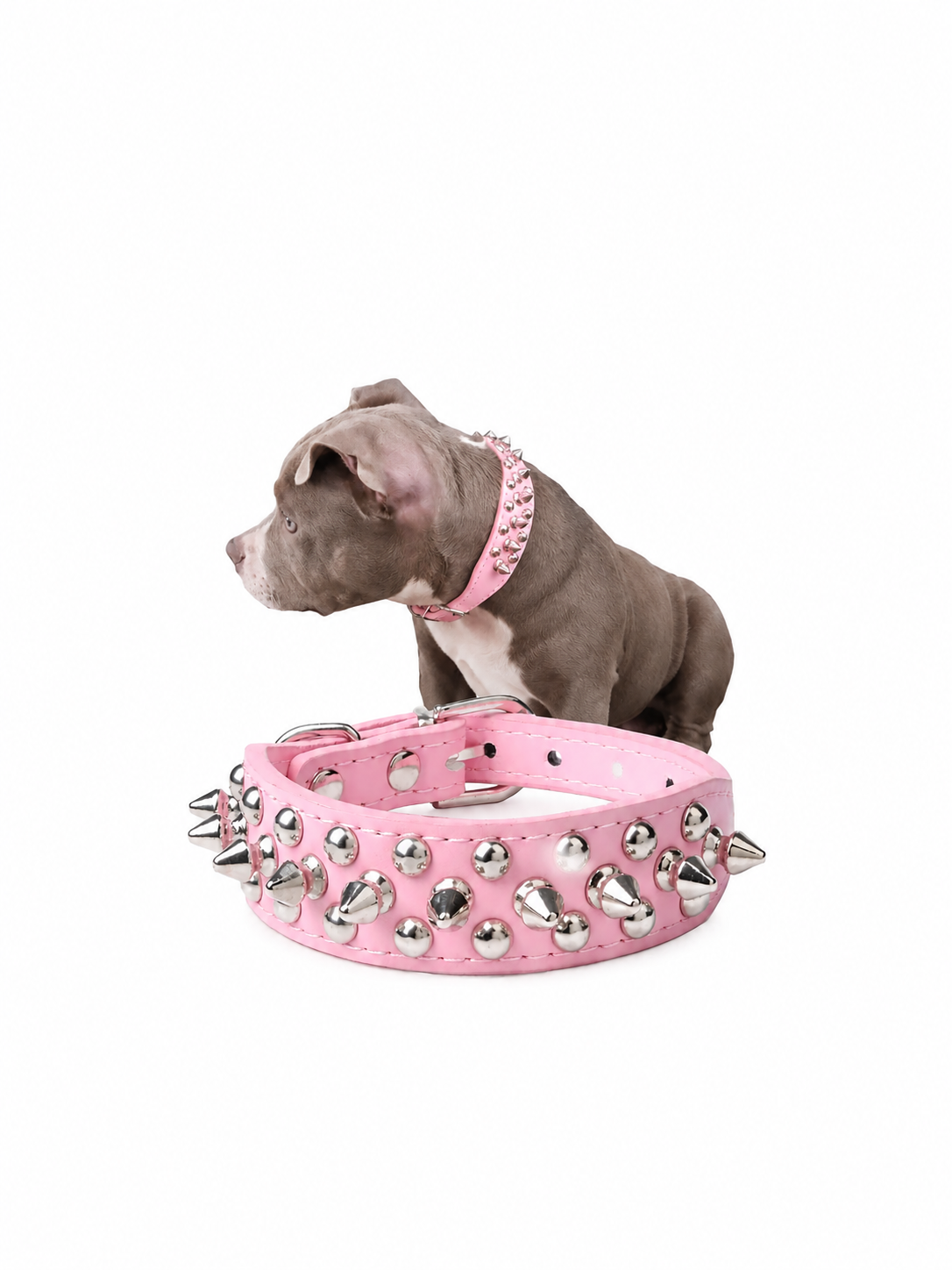 Pink studded dog collar with silver metal spikes and buckle.