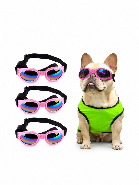 Pink pet sunglasses with rainbow lenses and adjustable black strap; dog wearing them