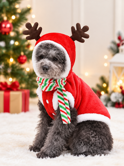Red Santa-style pet outfit with hood, brown antlers, and striped scarf