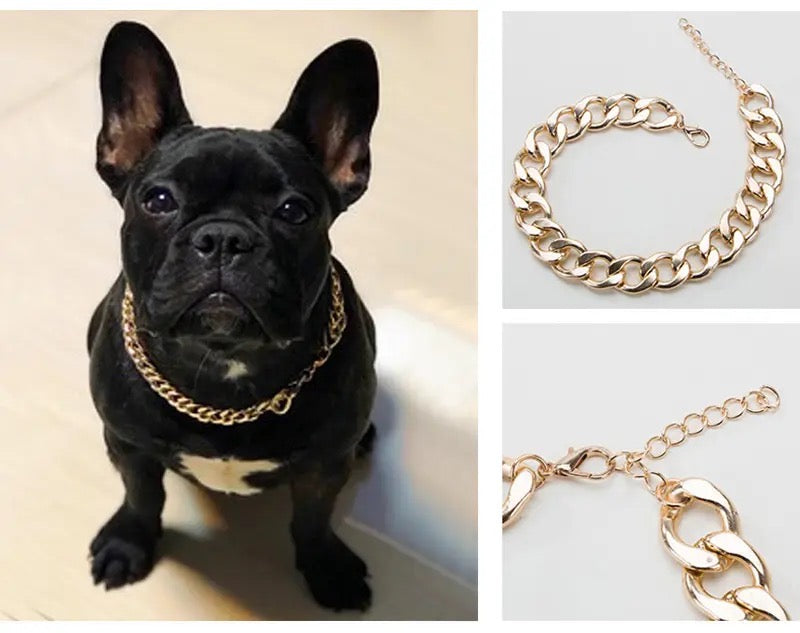 Gold-tone chain dog necklace collar on a black French bulldog