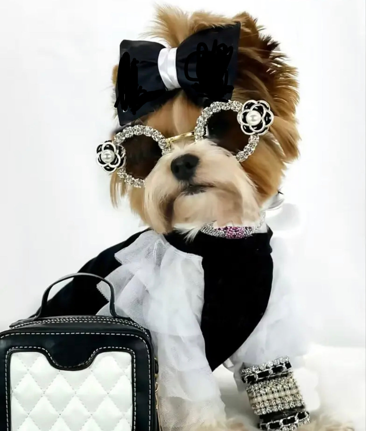 Rhinestone pet dog sunglasses with oval black lenses and metallic bow accents