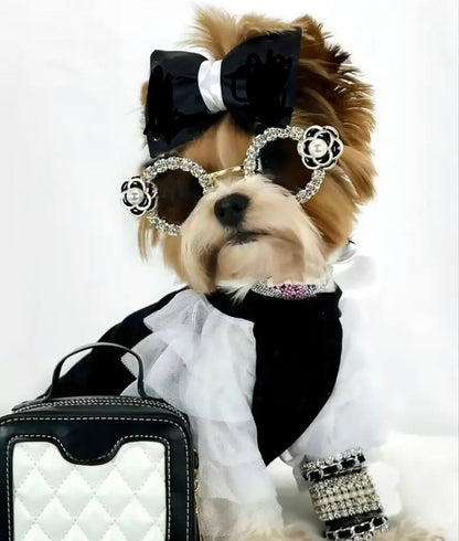Rhinestone pet dog sunglasses with oval black lenses and metallic bow accents