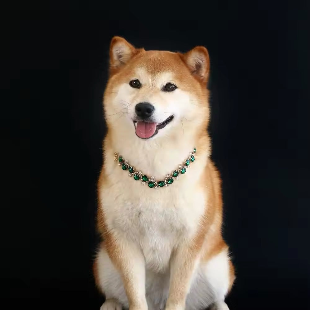 Green rhinestone pet necklace with gold chain, worn on a dog